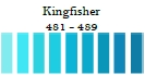 Appletons Crewel #485 Kingfisher